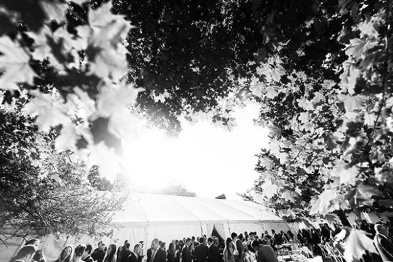 New york wedding538