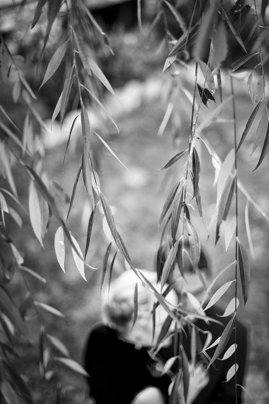 _DSC9513