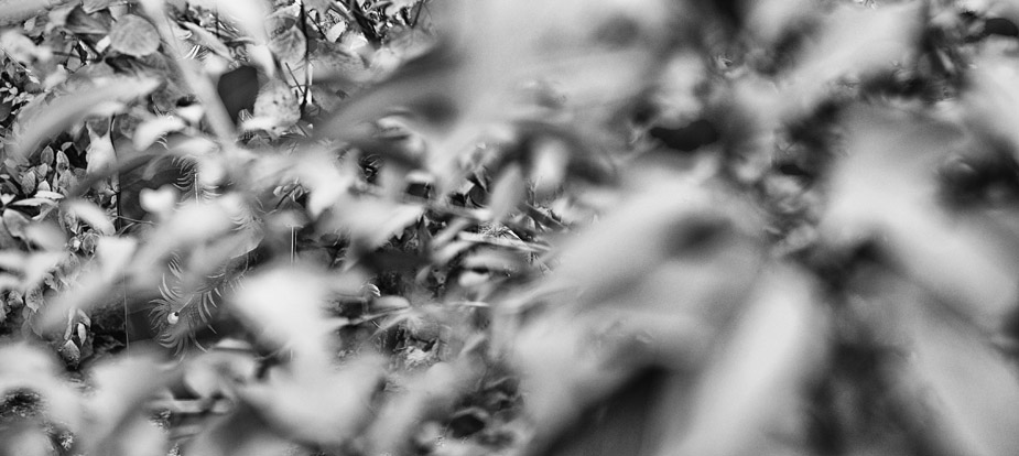_DSC9564