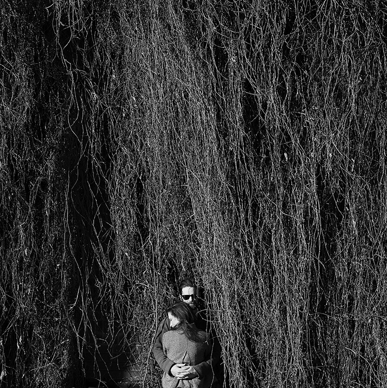 Zeiss55mm1.4jpg085
