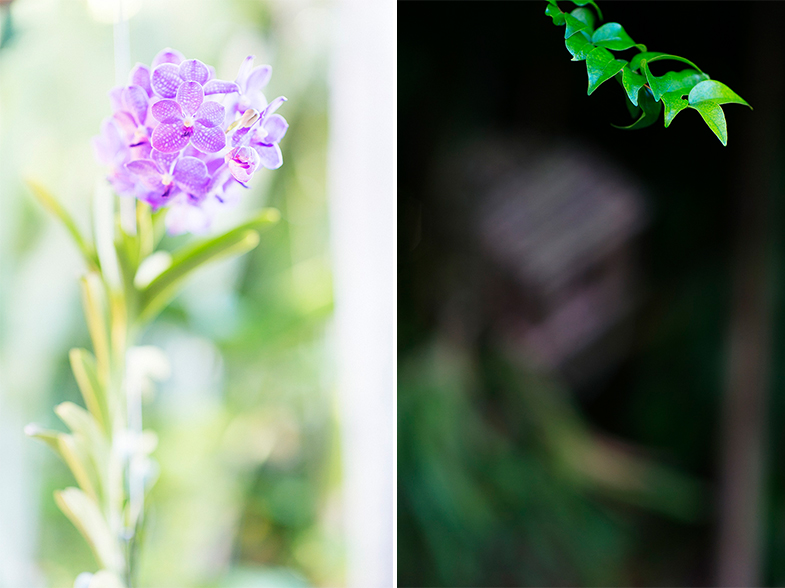 Untitled-7