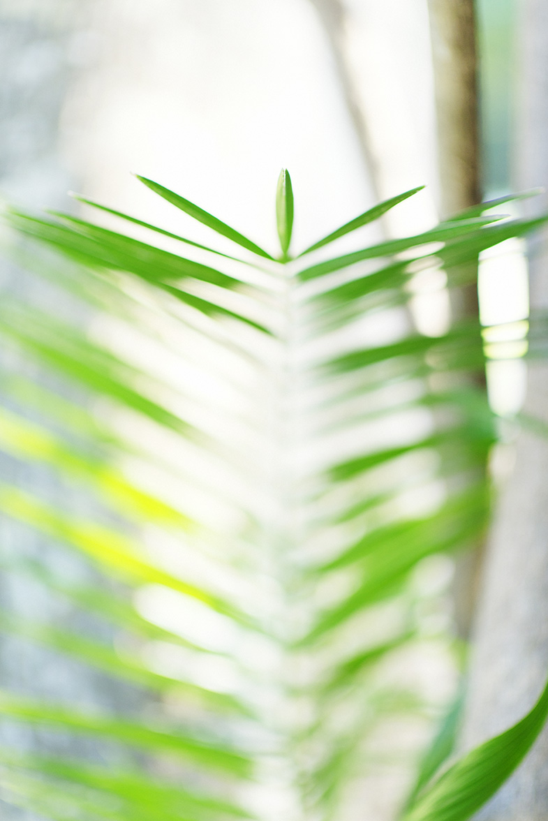 Floridawedding001