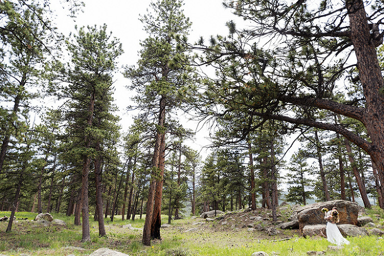 RMNPwedding043