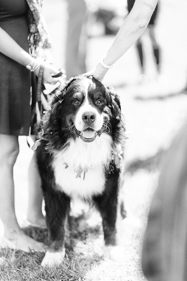 QuakerWedding452