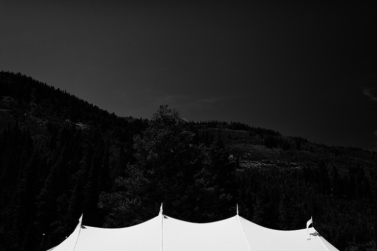 QuakerWedding067