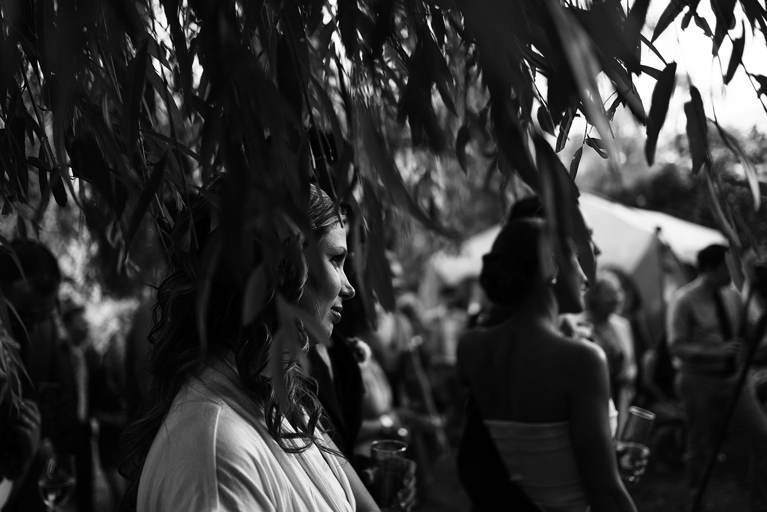 Canadawedding377
