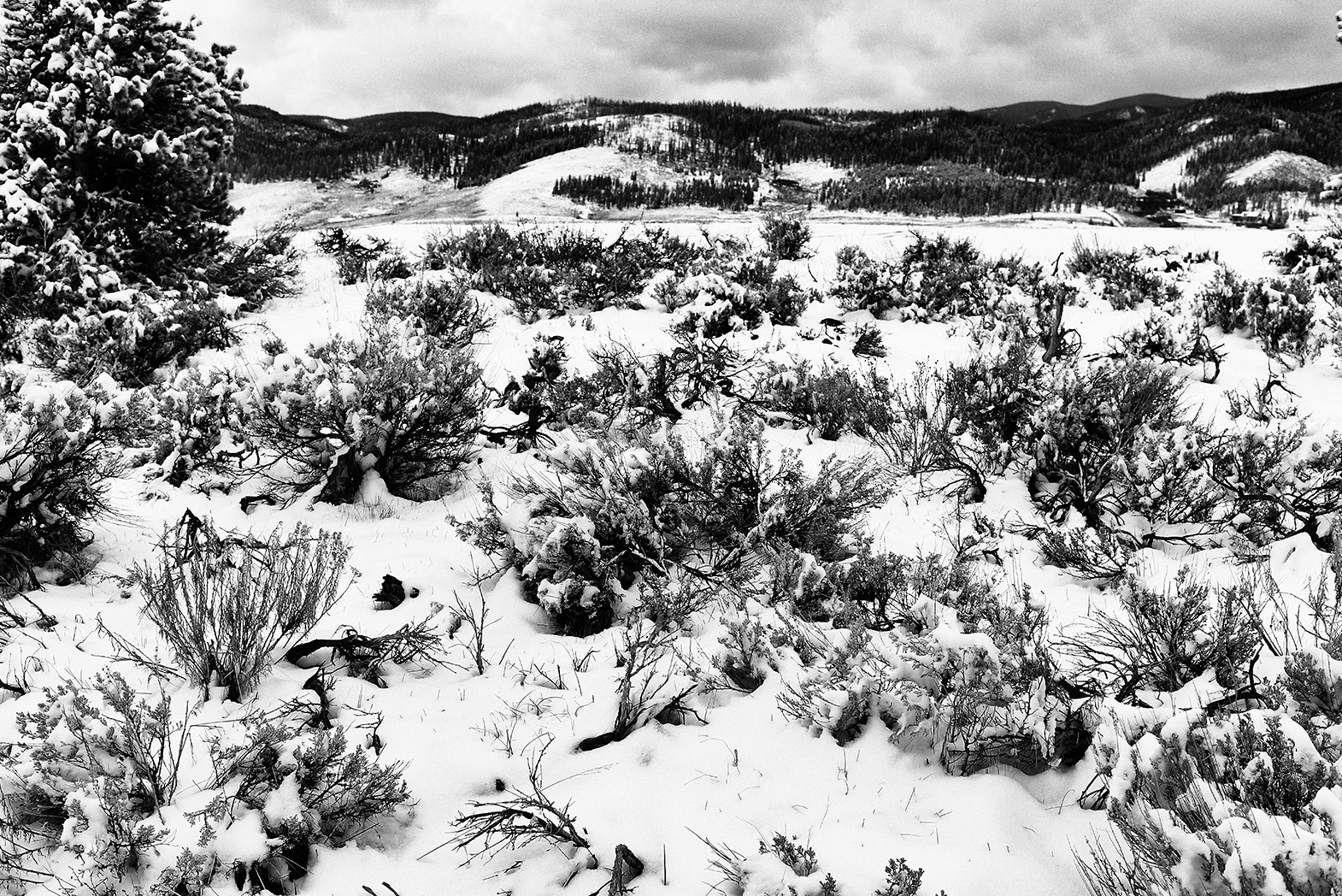 Devils thumb wedding613